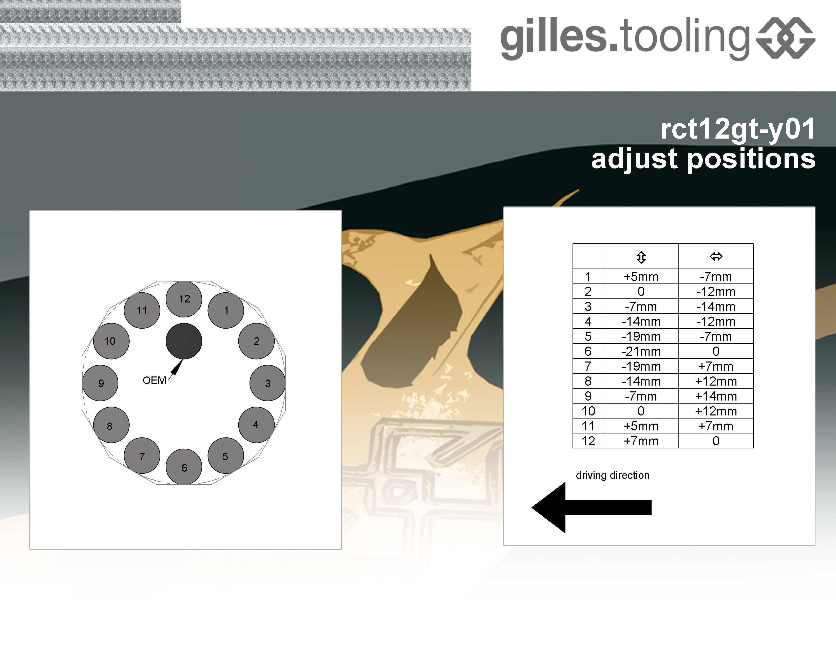 Fußrastenanlage RCT12GT Y01 schwarz-silber